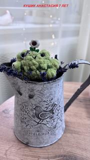 12 Кушик Анастасия